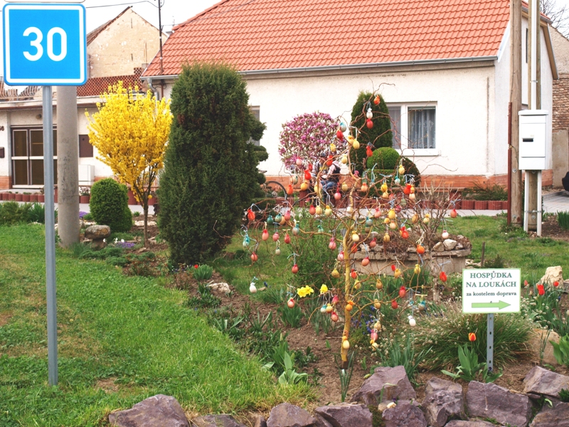 LN042520 – kopie